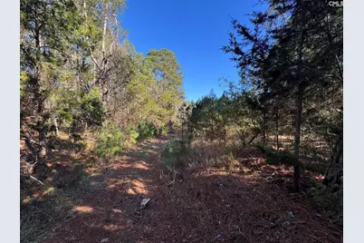 Sc 215 Highway, Jenkinsville, SC 29065 - Photo 29