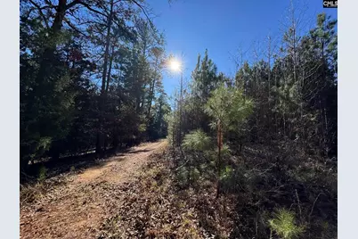 Sc 215 Highway, Jenkinsville, SC 29065 - Photo 25