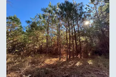 Sc 215 Highway, Jenkinsville, SC 29065 - Photo 27