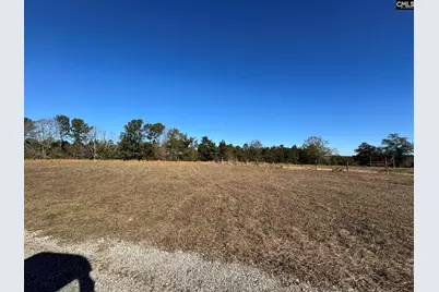 Sc 215 Highway, Jenkinsville, SC 29065 - Photo 5