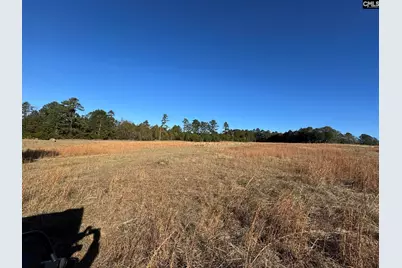 Sc 215 Highway, Jenkinsville, SC 29065 - Photo 3