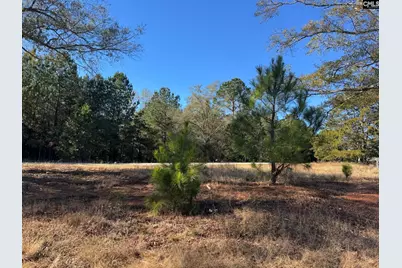 Sc 215 Highway, Jenkinsville, SC 29065 - Photo 23