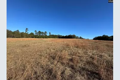 Sc 215 Highway, Jenkinsville, SC 29065 - Photo 13