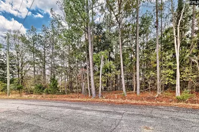 421 W Point Drive #58, Gilbert, SC 29054 - Photo 13