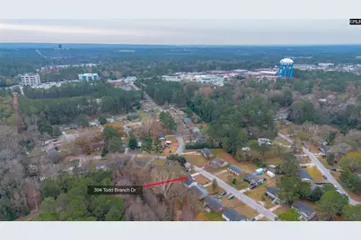304 Todd Branch, Columbia, SC 29223 - Photo 43