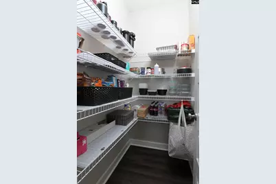 1343 Montford Drive, Elgin, SC 29045 - Photo 13