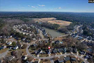 119 Stoney Pointe Dr, Chapin, SC 29036 - Photo 39