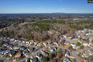 119 Stoney Pointe Dr, Chapin, SC 29036 - Photo 41