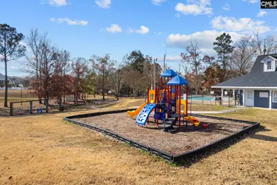 119 Stoney Pointe Drive, Chapin, SC 29036 - Photo 45