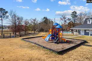 119 Stoney Pointe Dr, Chapin, SC 29036 - Photo 45