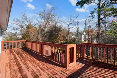 119 Stoney Pointe Drive, Chapin, SC 29036 - Photo 37