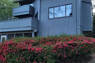 81 Ridge Lake Dr, Columbia, SC 29209 - Photo 3