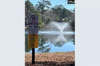 81 Ridge Lake Drive, Columbia, SC 29209 - Photo 21
