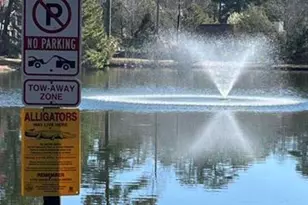 81 Ridge Lake Dr, Columbia, SC 29209 - Photo 25