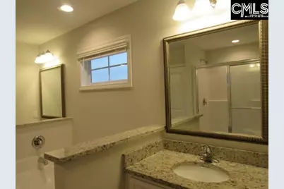 150 Druid Road, Lexington, SC 29072 - Photo 9