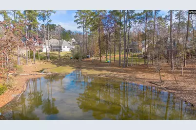 412 Lookover Pointe Drive, Chapin, SC 29036 - Photo 37