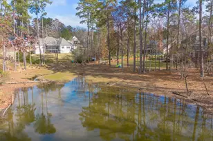 412 Lookover Pointe Dr, Chapin, SC 29036 - Photo 37