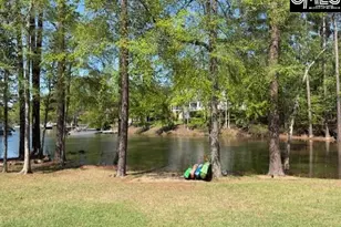 412 Lookover Pointe Dr, Chapin, SC 29036 - Photo 43