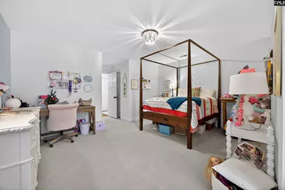 412 Lookover Pointe Drive, Chapin, SC 29036 - Photo 29