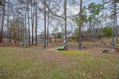 412 Lookover Pointe Drive, Chapin, SC 29036 - Photo 39