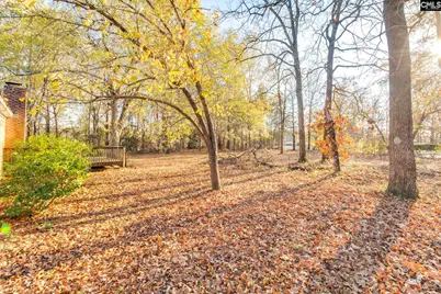 9 Tawny Branch Court, Columbia, SC 29212 - Photo 25