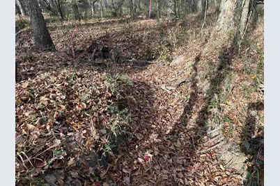 440 Paschal Road, Elgin, SC 29045 - Photo 17