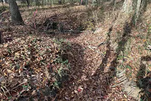 440 Paschal Rd, Elgin, SC 29045 - Photo 17