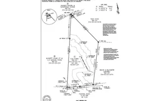 440 Paschal Rd, Elgin, SC 29045 - Photo 3