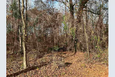 440 Paschal Road, Elgin, SC 29045 - Photo 21