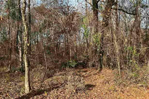 440 Paschal Rd, Elgin, SC 29045 - Photo 21