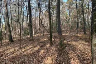 440 Paschal Rd, Elgin, SC 29045 - Photo 23