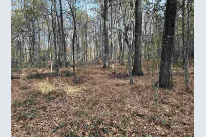 440 Paschal Road, Elgin, SC 29045 - Photo 1