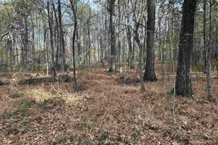 440 Paschal Rd, Elgin, SC 29045 - Photo 1