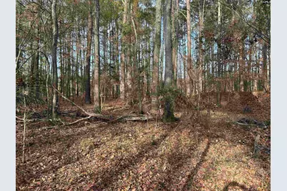 440 Paschal Road, Elgin, SC 29045 - Photo 15