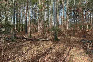 440 Paschal Rd, Elgin, SC 29045 - Photo 15