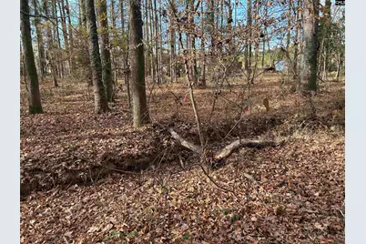 440 Paschal Road, Elgin, SC 29045 - Photo 15