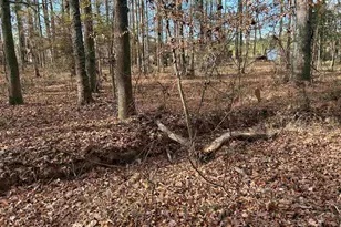 440 Paschal Rd, Elgin, SC 29045 - Photo 15