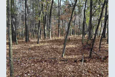 440 Paschal Road, Elgin, SC 29045 - Photo 23