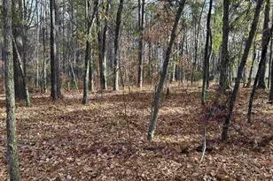 440 Paschal Rd, Elgin, SC 29045 - Photo 23