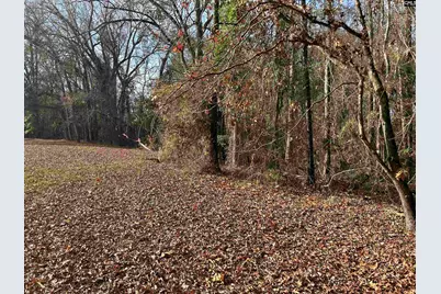 440 Paschal Road, Elgin, SC 29045 - Photo 21