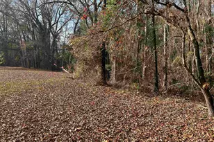 440 Paschal Rd, Elgin, SC 29045 - Photo 21