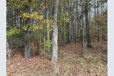 440 Paschal Road, Elgin, SC 29045 - Photo 11