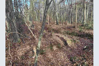 440 Paschal Road, Elgin, SC 29045 - Photo 19