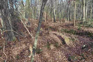 440 Paschal Rd, Elgin, SC 29045 - Photo 19