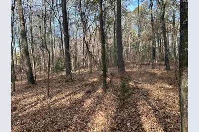 440 Paschal Road, Elgin, SC 29045 - Photo 23