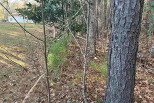 440 Paschal Rd, Elgin, SC 29045 - Photo 19