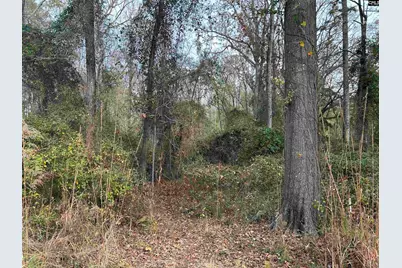 440 Paschal Road, Elgin, SC 29045 - Photo 13