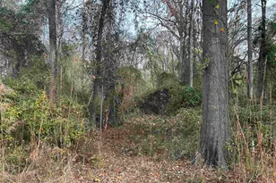 440 Paschal Rd, Elgin, SC 29045 - Photo 13