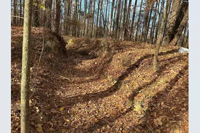 440 Paschal Road, Elgin, SC 29045 - Photo 3