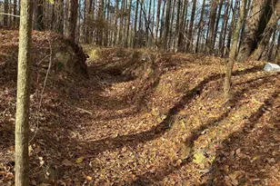 440 Paschal Rd, Elgin, SC 29045 - Photo 3